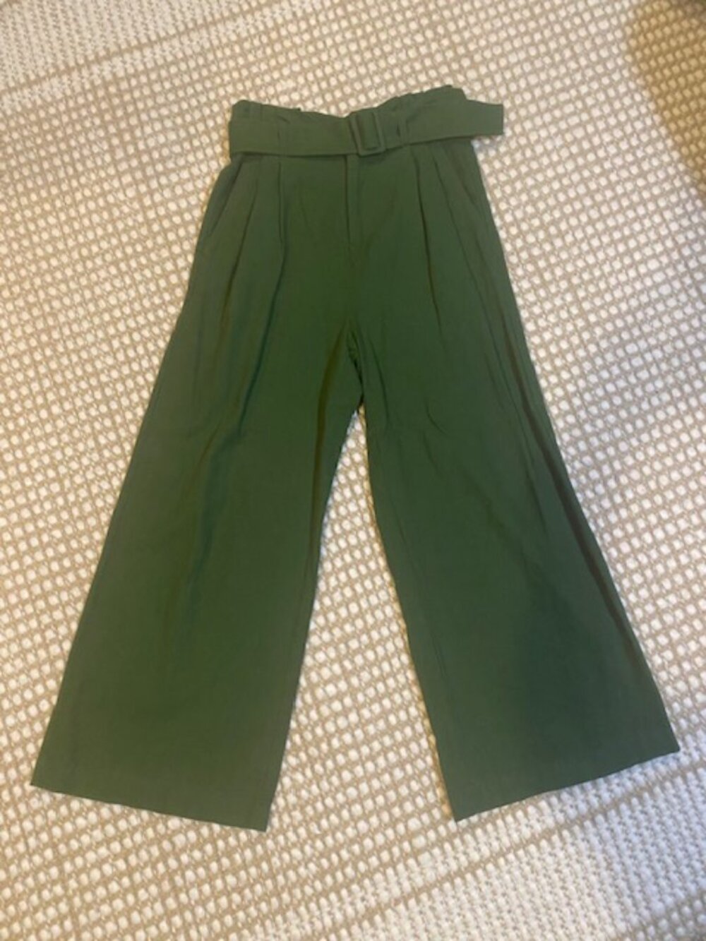 BP Green Wide Leg Pleated Pants with Belt - Women's Size Small
